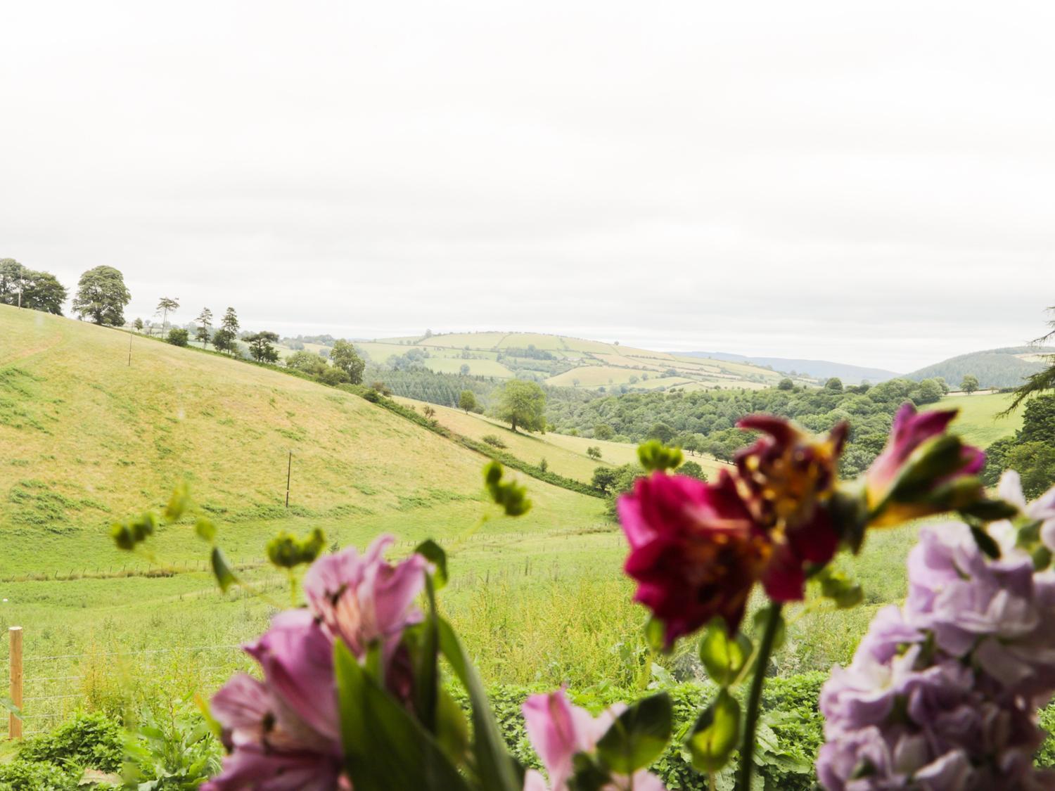 Вилла Rolling Hills Ньюкасл Экстерьер фото